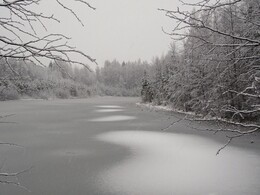 ���������, 26 ������ 2017