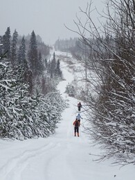 ���������� ��������, 24 ������� 2017