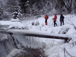 ���������� ��������, 24 ������� 2017