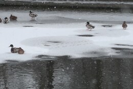 ����� � V&auml;&auml;ksy. ������ ����� Heinola - Lahti, 11 ������� 2018