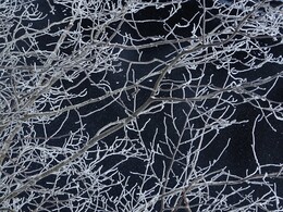 ����� � ������ Sonkaj&auml;rvi, 18 ������� 2018