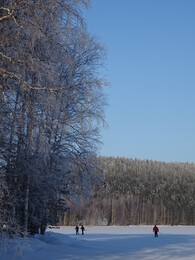 �������� � ������ �����, 19 ������� 2018