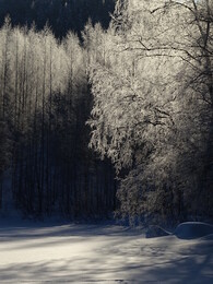 �������� � ������ �����, 19 ������� 2018