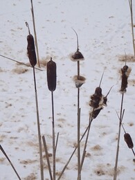 �����. ������ ����� Saukkola - Karjaa, 25 ������� 2018