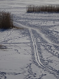 �����, 4 ����� 2018