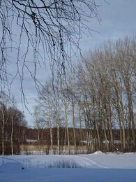 ������ ����� Harmoinen - Orivesi, 17 ����� 2018