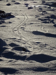 ������ G&aring;sgrund, 18 ����� 2018