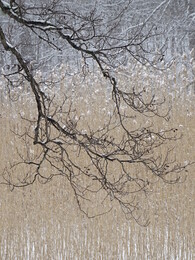 �������, 2 ������ 2018