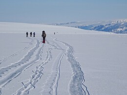 �� ���� �����-������. ����������, 25 ������ 2018