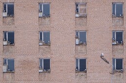 ����� � ����� ����. ������� ��������, ����������, 1 ��� 2018