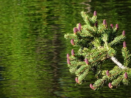 ���� �������. ����-������ ����� �� ���� ������� � ����, 2 ���� 2018