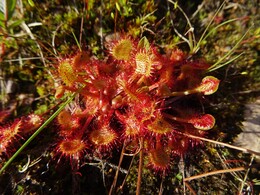 �������. ����-������ ����� �� ���� ������� � ����, 3 ���� 2018