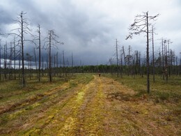 ������. ����-������ ����� �� ���� ������� � ����, 4 ���� 2018