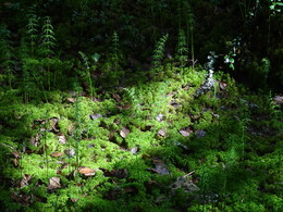 ����-������ ����� �� ���� ������� � ����, 4 ���� 2018