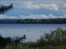 ������ �� ��������. ����-������ ����� �� ���� ������� � ����, 4 ���� 2018