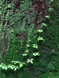 ��������� �� ���� ������, ������, 29 ���� 2018