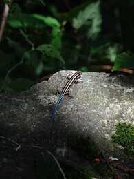 ��������������� �����. ��������� �� ���� ������, ������, 29 ���� 2018