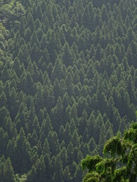 ��������� �� ���� ������, ������, 29 ���� 2018