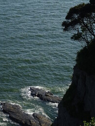 ����� �����. �����, 31 ���� 2018