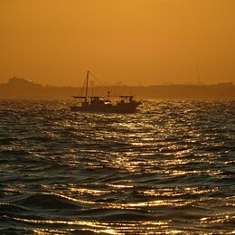 ����� �����. �����, 31 ���� 2018