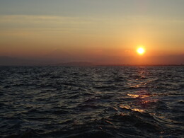 ����� �����, ���� �����. �����, 31 ���� 2018