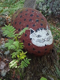 ����� ����� � J&auml;ms&auml;, 8 �������� 2018