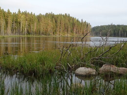 ����� ����� � J&auml;ms&auml;, 8 �������� 2018