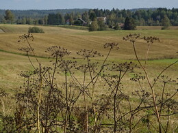 ����� ����� � J&auml;ms&auml;, 9 �������� 2018