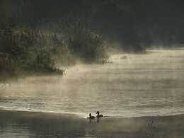 �����. ���������, ������, 18 ������� 2018