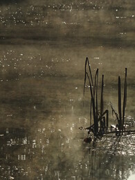 �����. ���������, ������, 18 ������� 2018