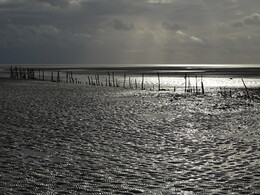 ���������� ����, ������, 21 ������� 2018