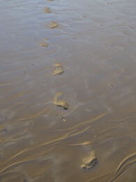 �����. ���������� ����, ������, 21 ������� 2018