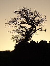 ���������, ������, 22 ������� 2018