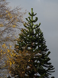 ���������. ���������, ������, 22 ������� 2018