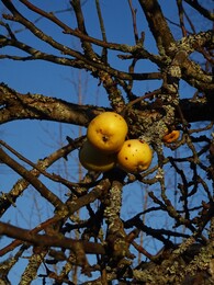 ������. ����� � ���� Sipoonkorpi, 24 ������ 2018