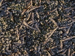 ���� �� �����, 28 ������ 2018