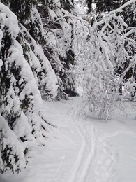 ����� ����� Lohja - Kirkkonummi, 23 ������� 2018