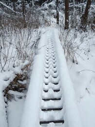 ���� ����� �������. ��������-�������, 30 ������� 2018