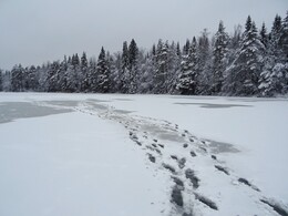 �������� ������� ������, ������� - �������, 6 ������