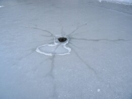 ��� ����� ��������, 12 ������