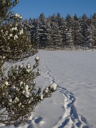 ������ ������� � Karjaa, 27 ������