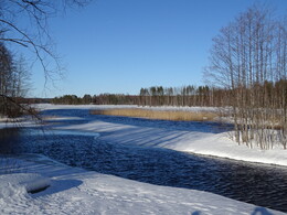 ������ ������� �� ���������� �� �������, 17 �������