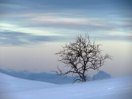 ������ ����� �� ���������, 28 �����