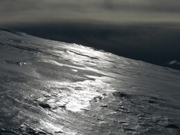 ������ ����� �� ���������, 29 �����