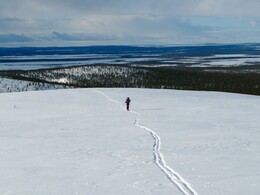 ������ ����� �� ���������, 29 �����