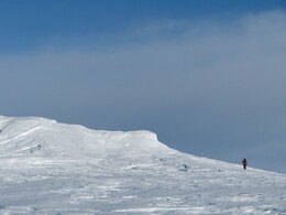 ������ ����� �� ���������, 29 �����