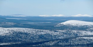 ������ ����� �� ���������, 29 �����