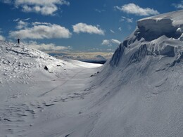 ������ ����� �� ���������, 29 �����