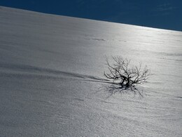 ������ ����� �� ���������, 29 �����