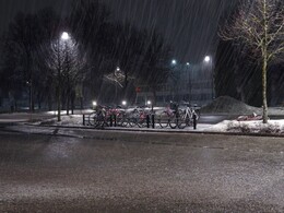 ������ �����������, 31 �����